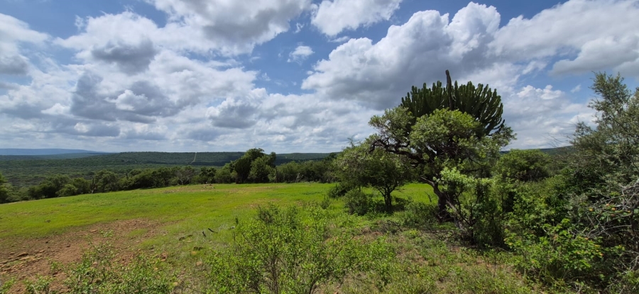 0 Bedroom Property for Sale in Koster North West